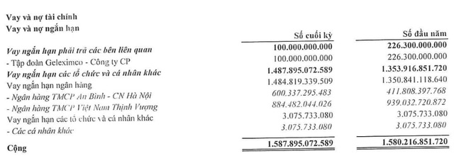 Đầu tư Tổng hợp Hà Nội (SHN): Kinh doanh than kém hiệu quả, quý 2 lãi giảm 96% so với cùng kỳ - Ảnh 5.